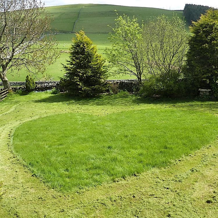 Rorys lawn shaped into a heart shape